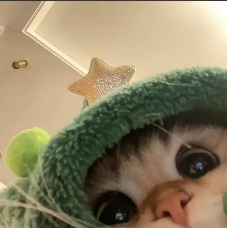 猫猫原创手工穿戴甲