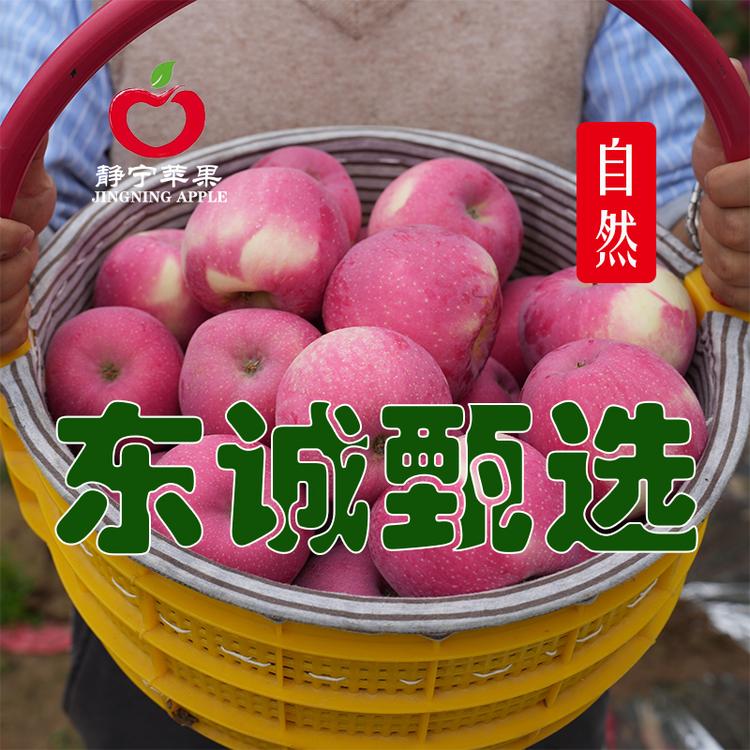 静宁县东诚甄选生态农场