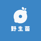 野生菌如意优品店