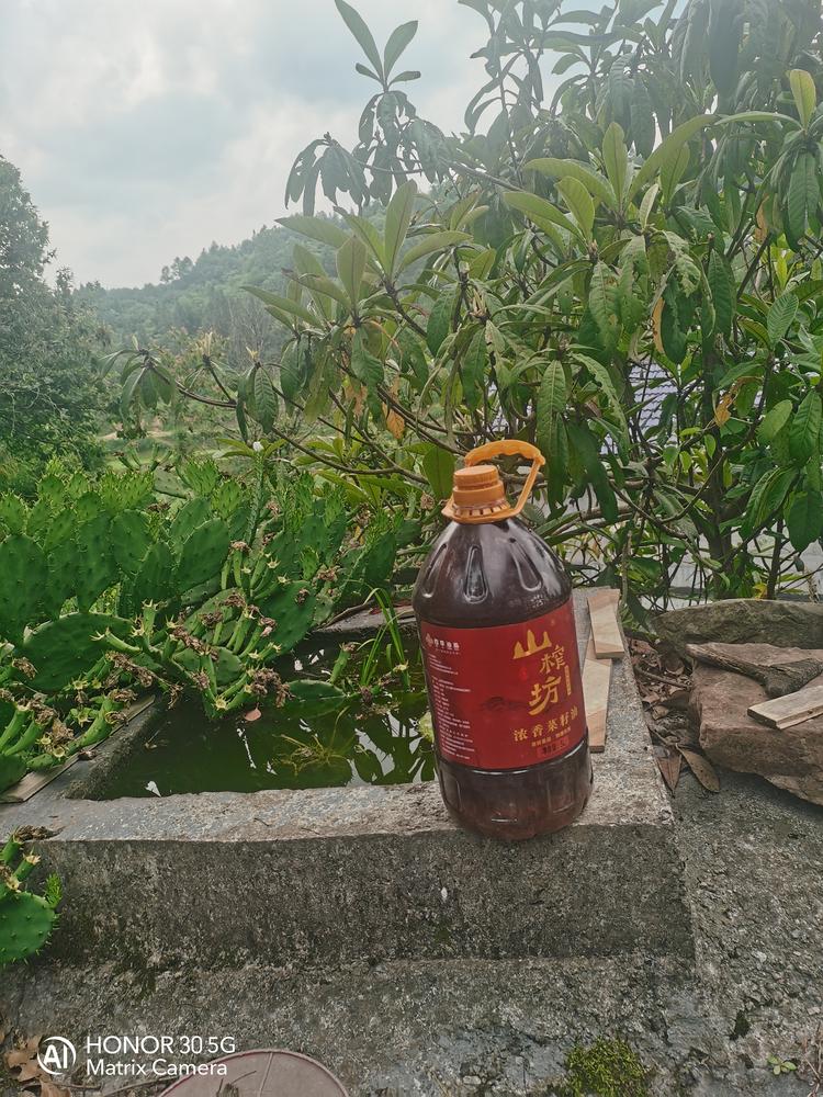 泸溪农家特产菜子油