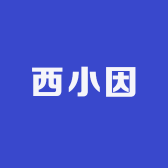 西小因童品店