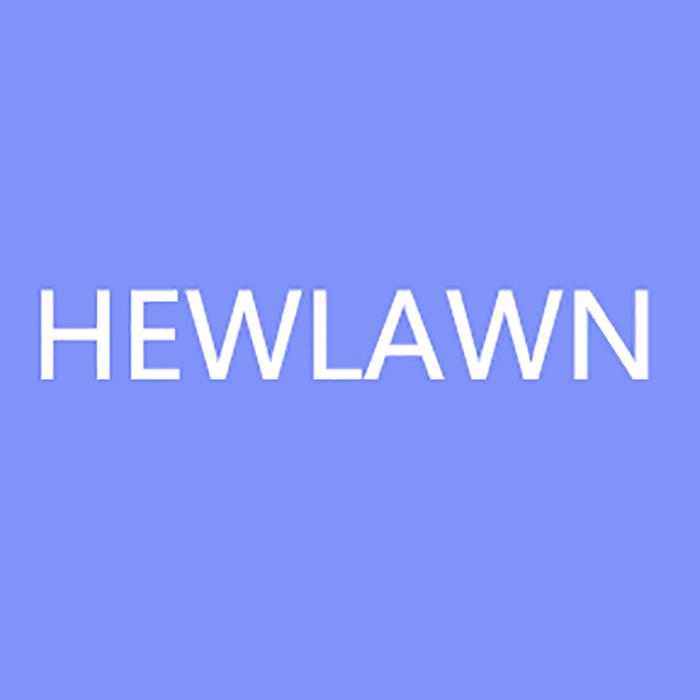 HEWLAWN鑫派存储专卖店