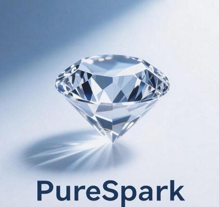 purespark南非直选