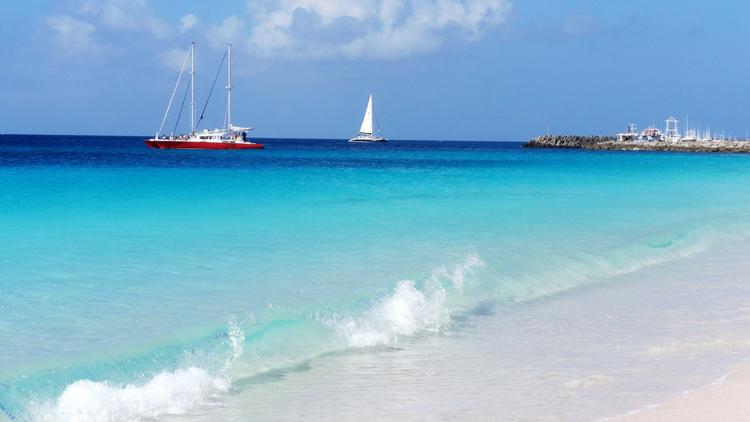 轩诺园艺个体店