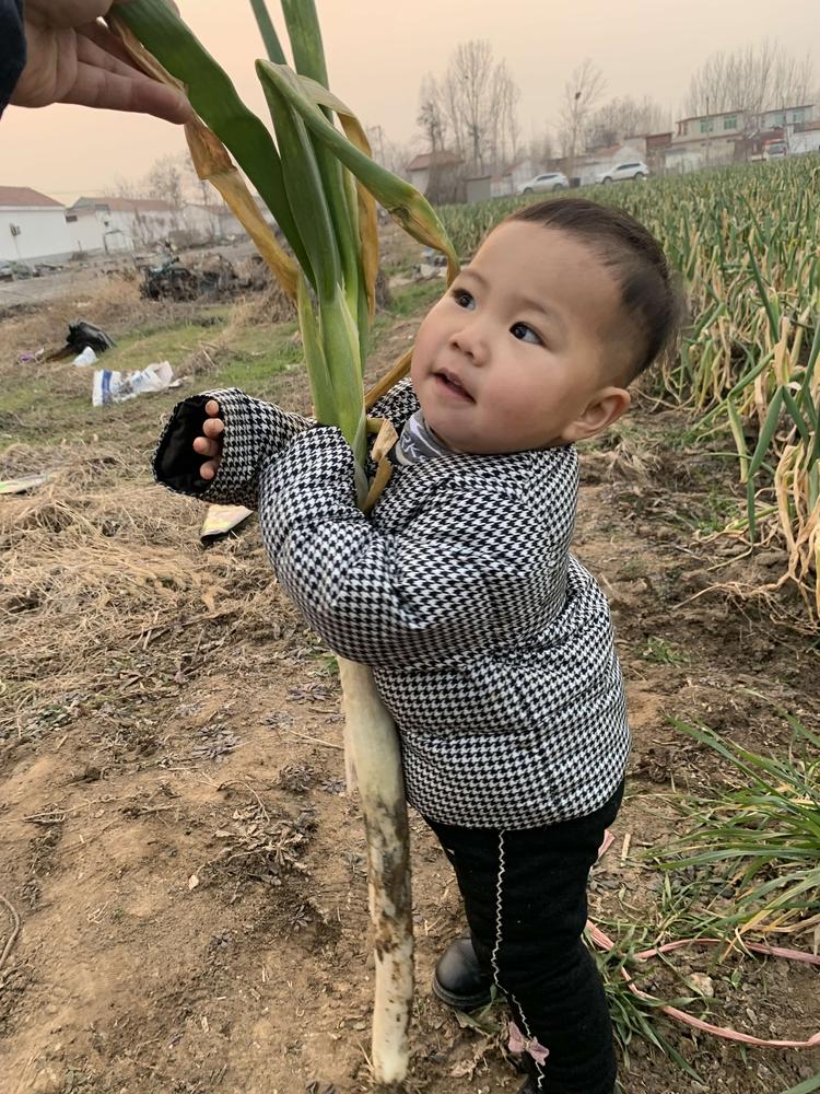 济南章丘区粮成种植养殖专业合作社的小店