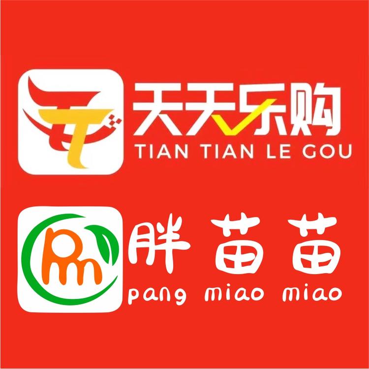 胖苗苗优选水果