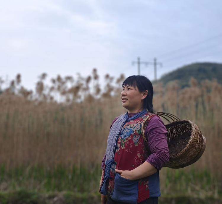 湘村蛐蛐