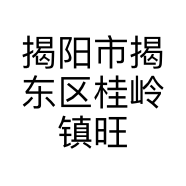 揭阳市揭东区桂岭镇旺久食品经营部的小店