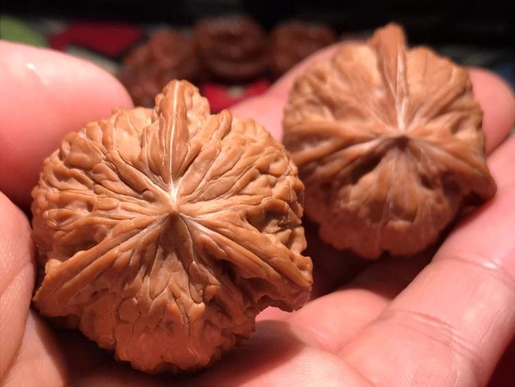 百核阁