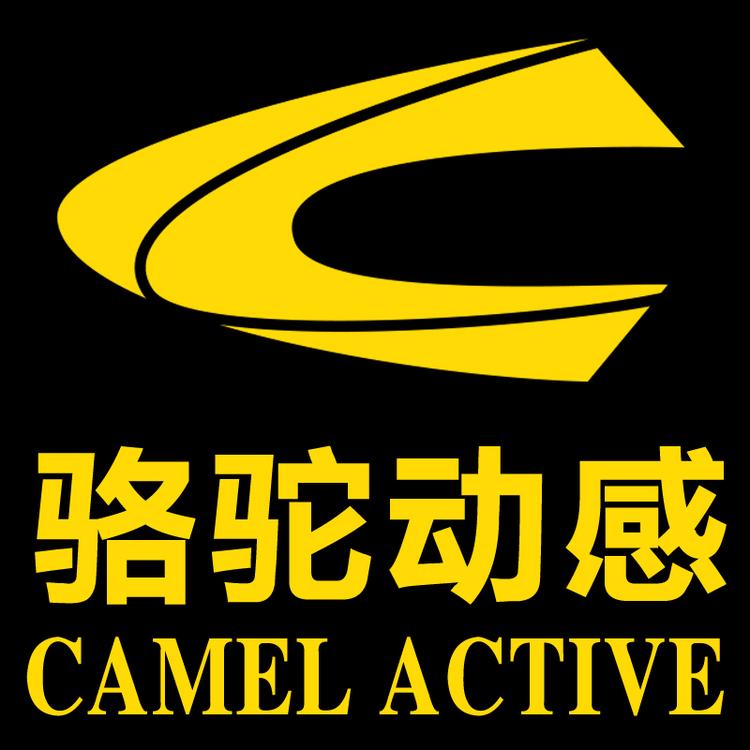 骆驼动感步溪男鞋专卖店