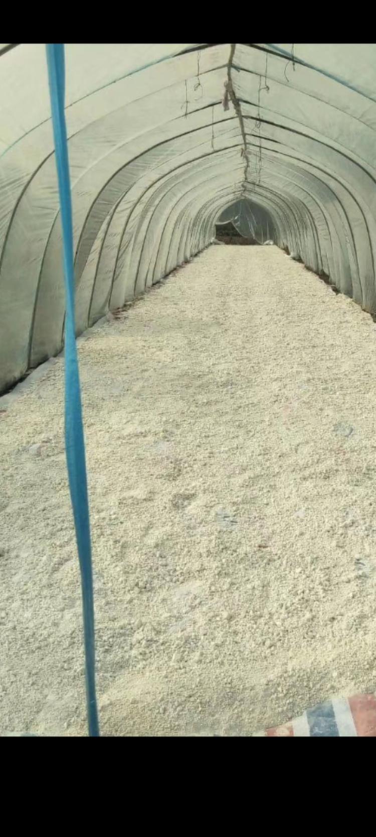 临泉县前宅粉丝加工有限公司的小店