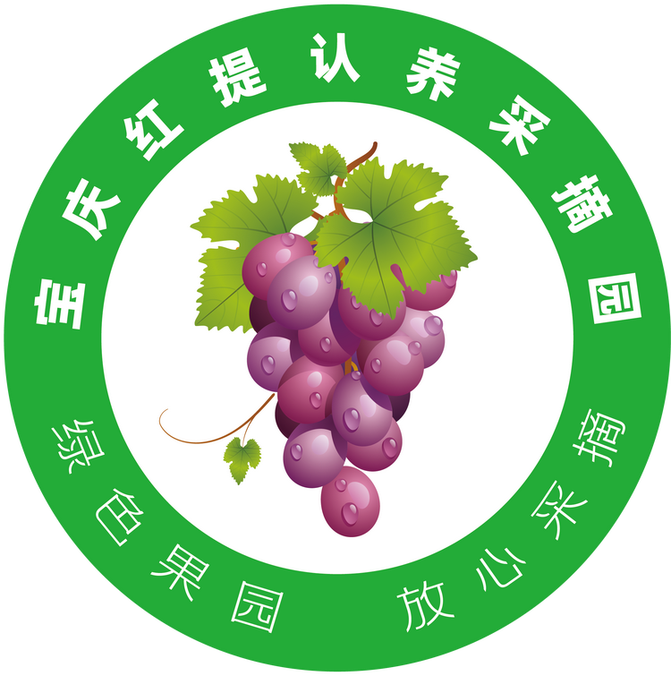 宝庆红提