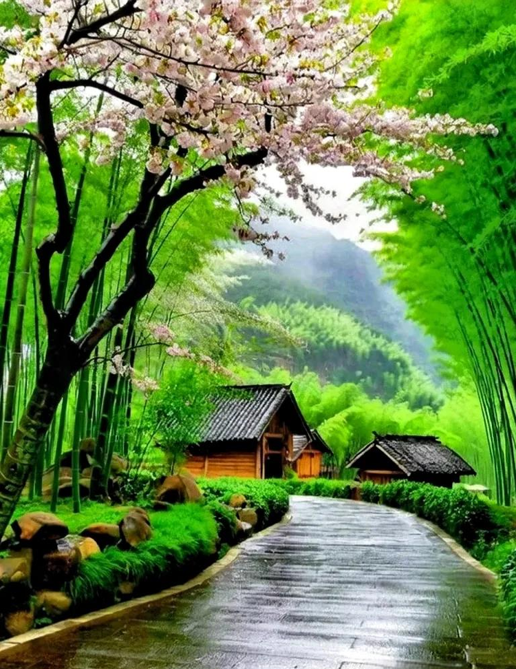 竹木本铺