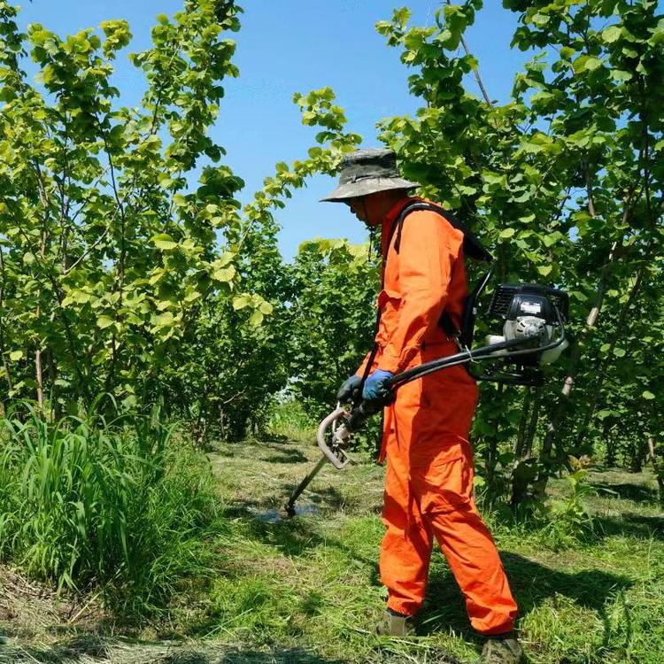 张班长与明同学个体店