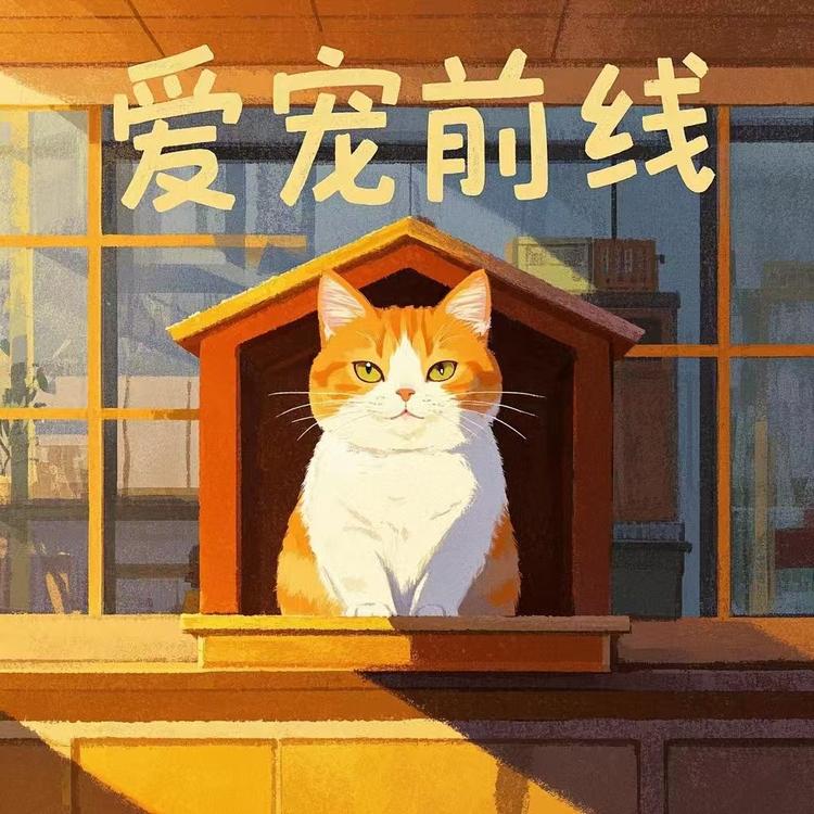 爱宠前线猫粮