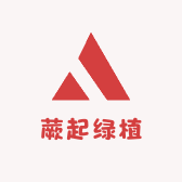蕨起绿植