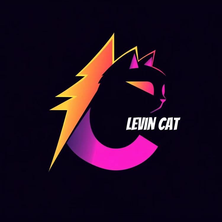 LEVINCAT闪电猫