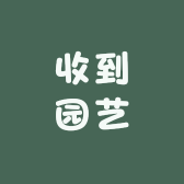 阳光花卉源