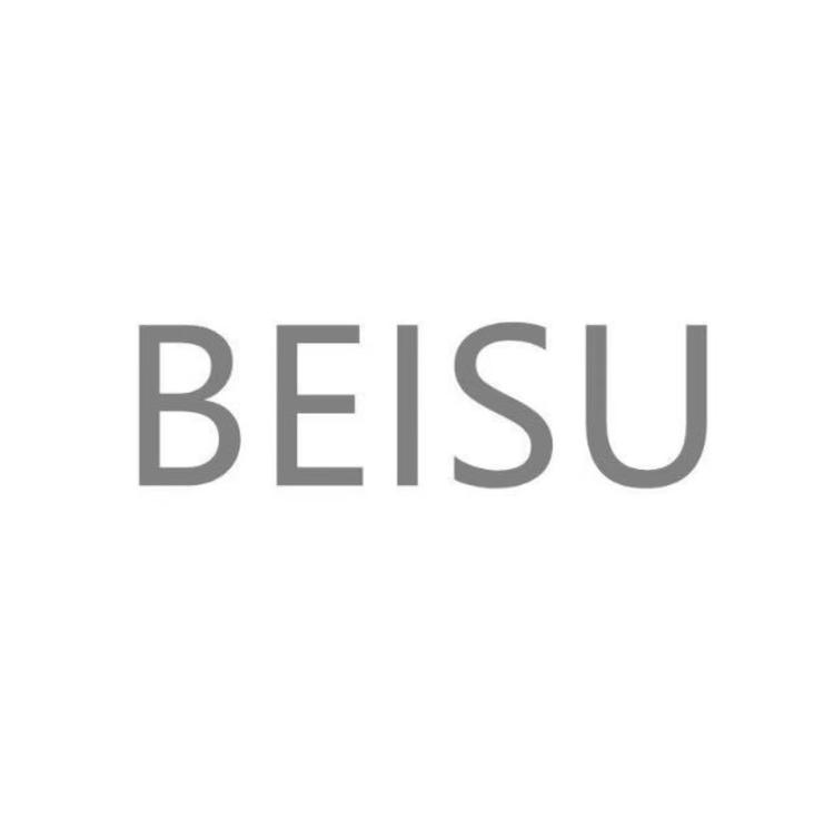 BEISU北素服饰个体店