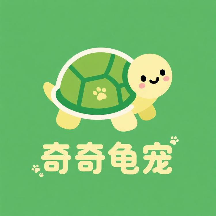 奇奇龟宠