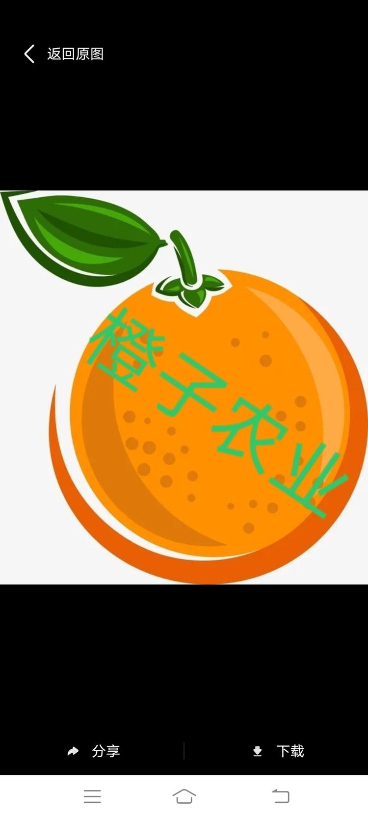 橙子农业科技