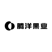 腾洋果业