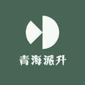 青海派升