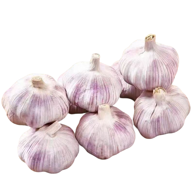 生鲜臻选大蒜