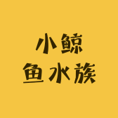 小鲸鱼水族