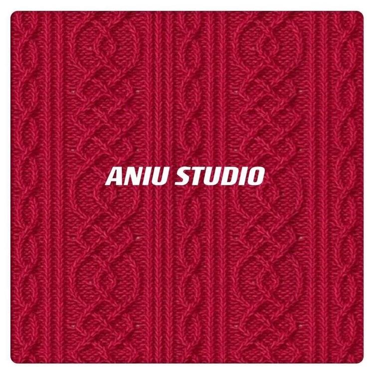 ZANIUSTUDIO