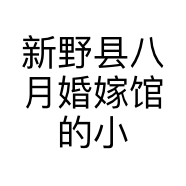 新野县八月婚嫁馆的小店