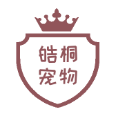 皓桐宠物