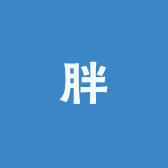 胖大海光能站