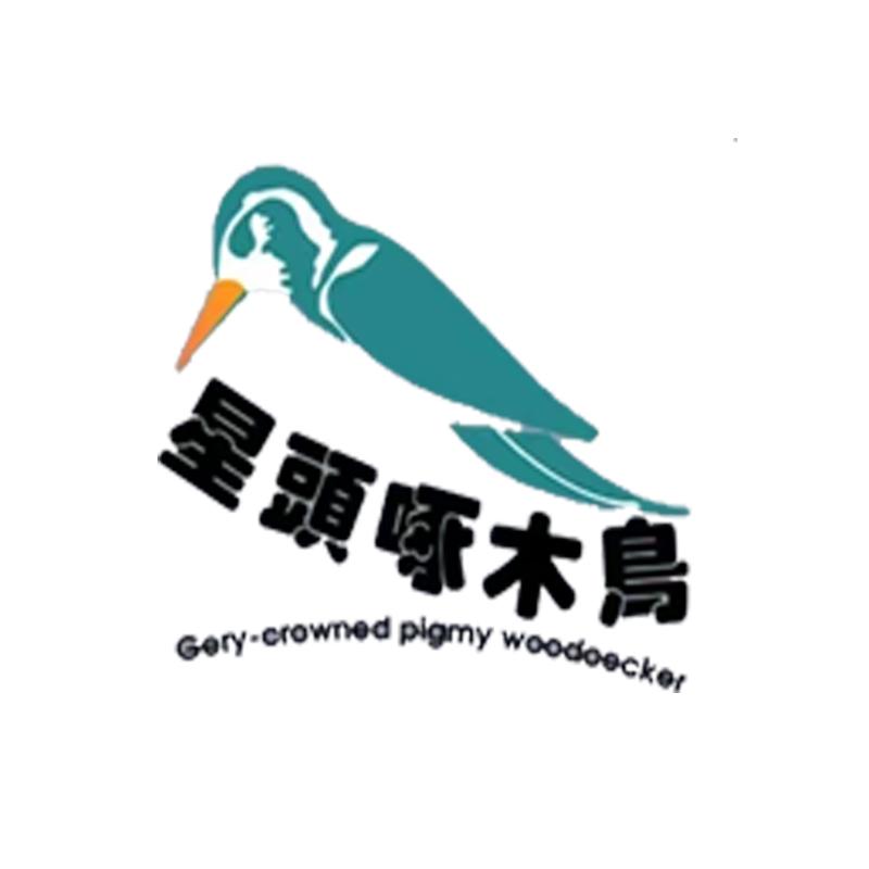 星头啄木鸟优选男鞋