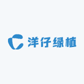 洋仔绿植