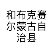 和布克赛尔蒙古自治县米果童装一站式服务店