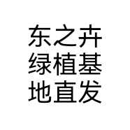 东之卉绿植基地直发