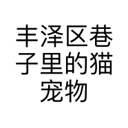 丰泽区巷子里的猫宠物用品店的小店