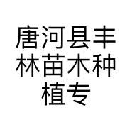 唐河县丰林苗木种植专业合作社的小店