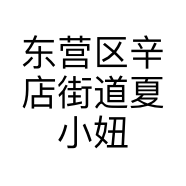 东营区辛店街道夏小妞童装店的小店