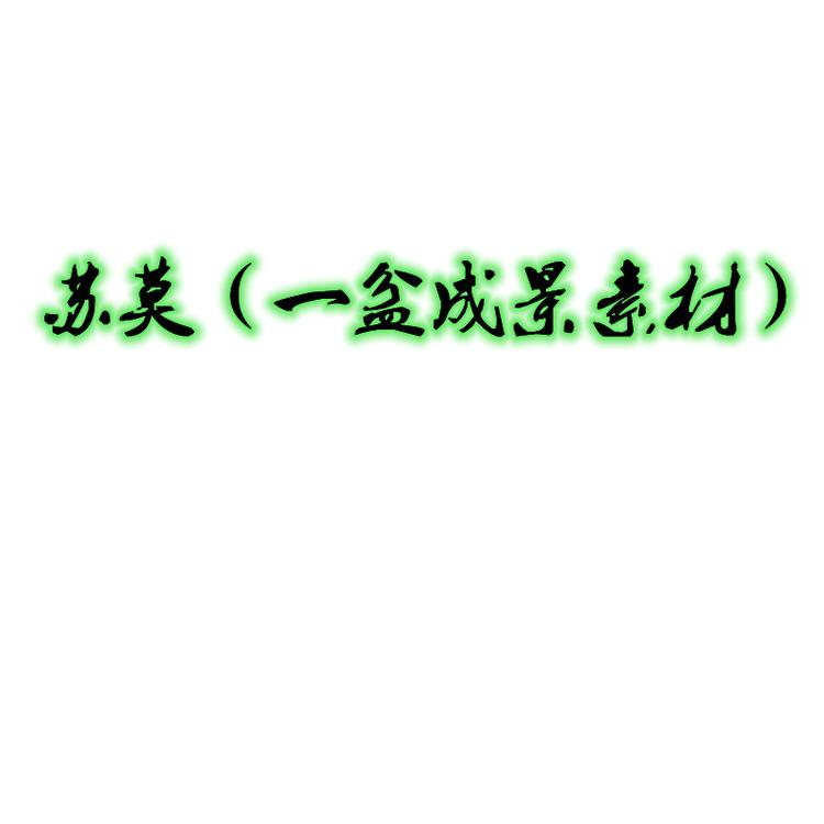 松溪县婷静电子商务商行