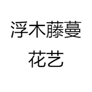 浮木藤蔓花艺