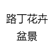 路丁花卉盆景