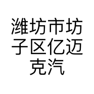潍坊市坊子区亿迈克汽车影音服务中心的小店