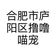 合肥市庐阳区撸噜喵宠物店的小店