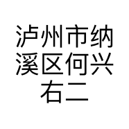 泸州市纳溪区何兴右二手车信息服务部的小店