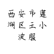 西安市莲湖区王小波服装店的小店