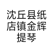 沈丘县纸店镇金辉提琴工作室的小店