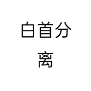 白首分离美容美发