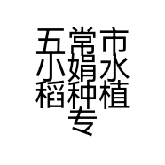 小娟稻花香2号